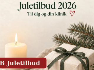 Juletilbud B2B
