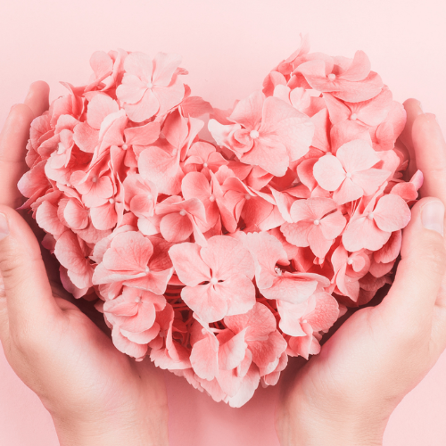 brands indenfor sk�nhedspleje og wellness