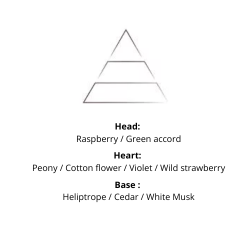 Refill - Cotton Flower