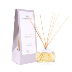 Refill - Cotton Flower