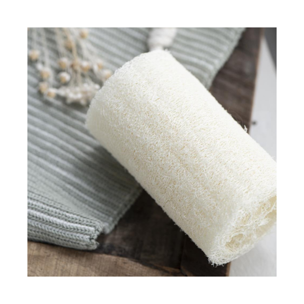 Loofah Svamp
