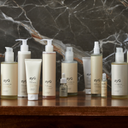 AYU Vata Mist, 100ml