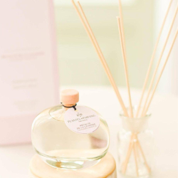 Plantes &amp; Parfums - Duftpinde - Lavender Harvest