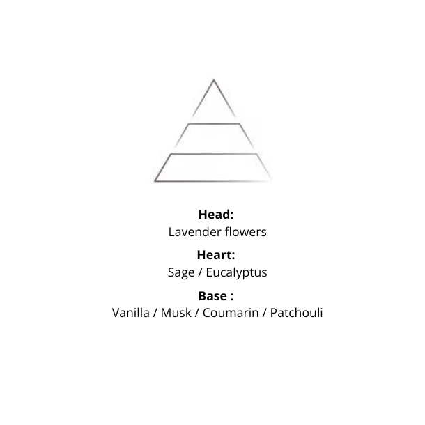 Refill - Lavender Harvest