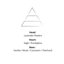 Plantes &amp; Parfums - Home Perfume - Lavender Harvest