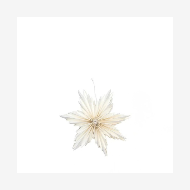 Linette Stjerne, Hvid 20cm