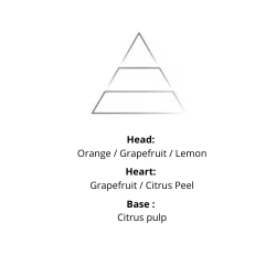 Plantes &amp; Parfums - Home Perfume - Olive Leaves