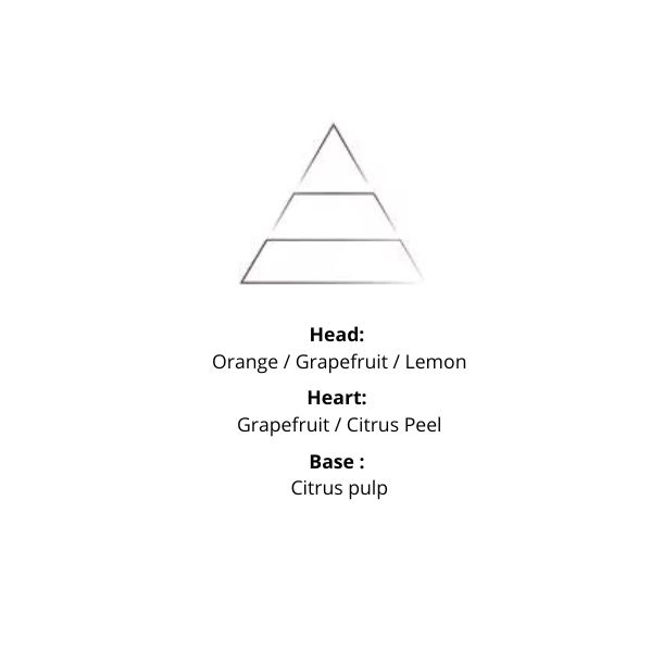 Home Perfume - Olive Leaves