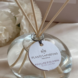 Plantes &amp; Parfums - Duftpinde - Olive Leaves