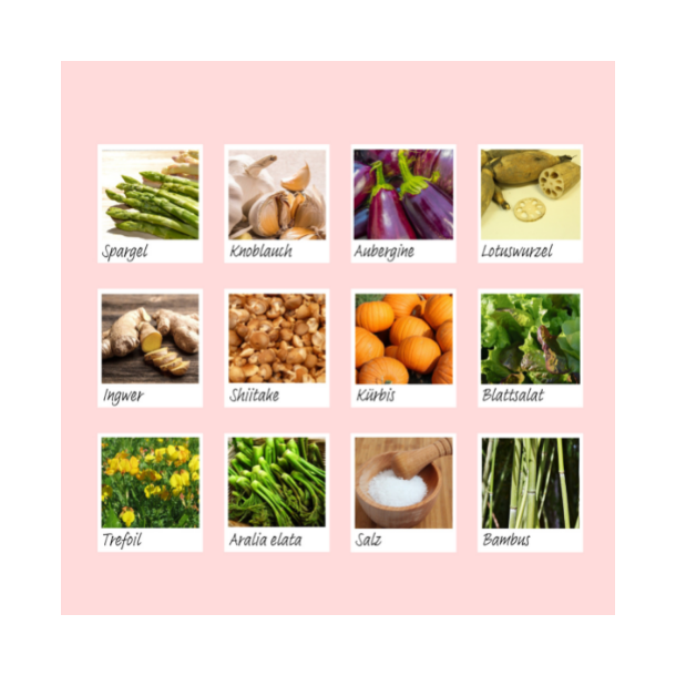 Body Wash Pad box m. 10 stk. 