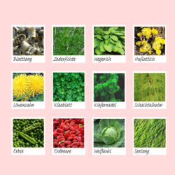 Jul 25 - TAKABATH Face 10+1