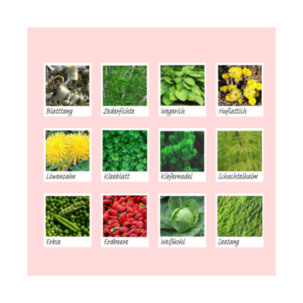 Body Wash Pad box m. 10 stk. 