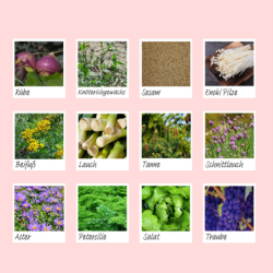 Jul 25 - TAKABATH Face 10+1