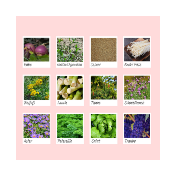 Body Wash Pad box m. 10 stk. 